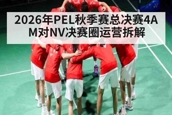 2026年PEL秋季赛总决赛4AM对NV决赛圈运营拆解